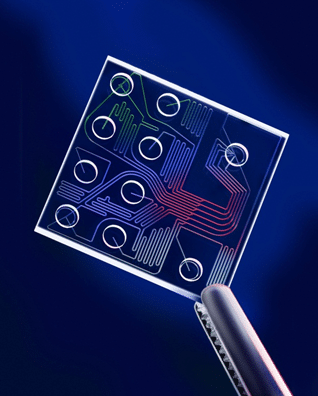 microfludic chip