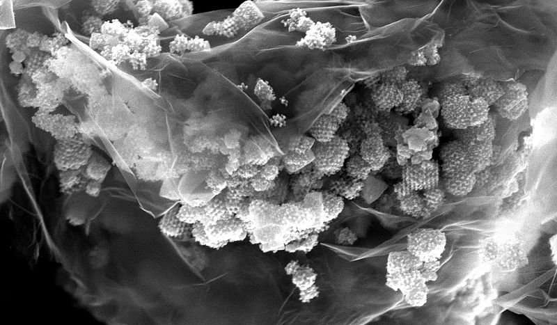 graphene-nanocomp-wien